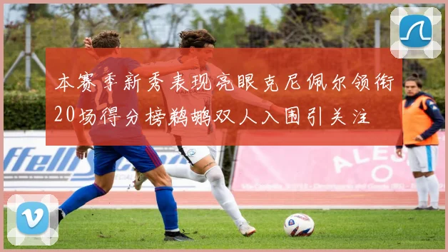 本赛季新秀表现亮眼克尼佩尔领衔20场得分榜鹈鹕双人入围引关注