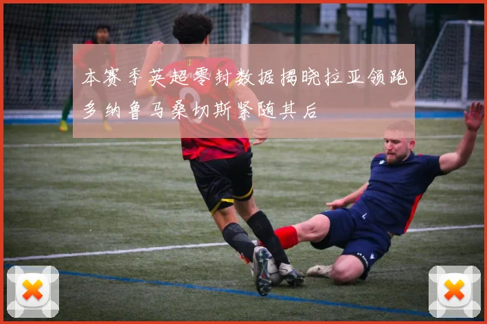 本赛季英超零封数据揭晓拉亚领跑多纳鲁马桑切斯紧随其后